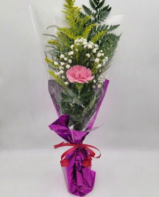 1 Carnation in a sleeve (dressed)