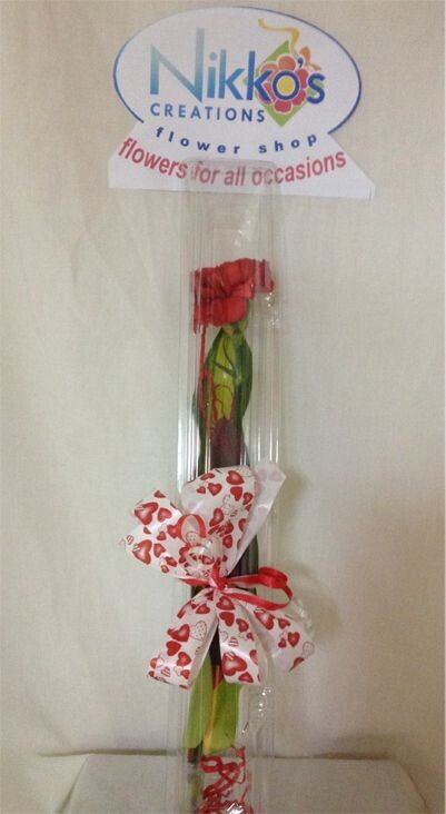 1 Carnation in a Box plain