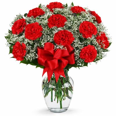 12 Red Carnations in a vase