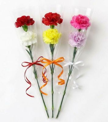 Carnations -2 in a sleeve