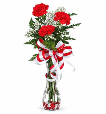 3 Red Carnations in a Vase