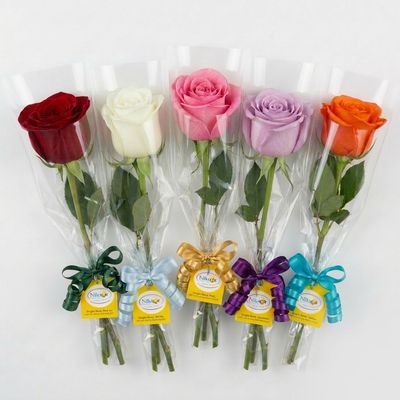 1 Rose in a Sleeve