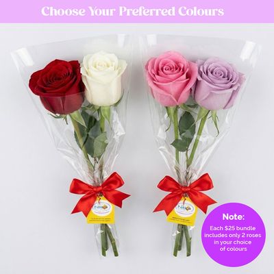 Sale - 2 Single Roses in a Sleeve