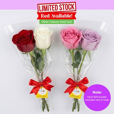 Sale - 2 Single Roses in a Sleeve