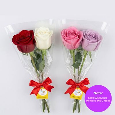 Sale - 2 Single Roses in a Sleeve