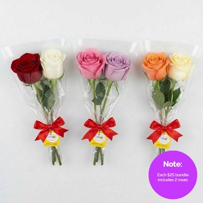 Sale - 2 Single Roses in a Sleeve