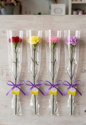 1 Single Carnation in a Sleeve