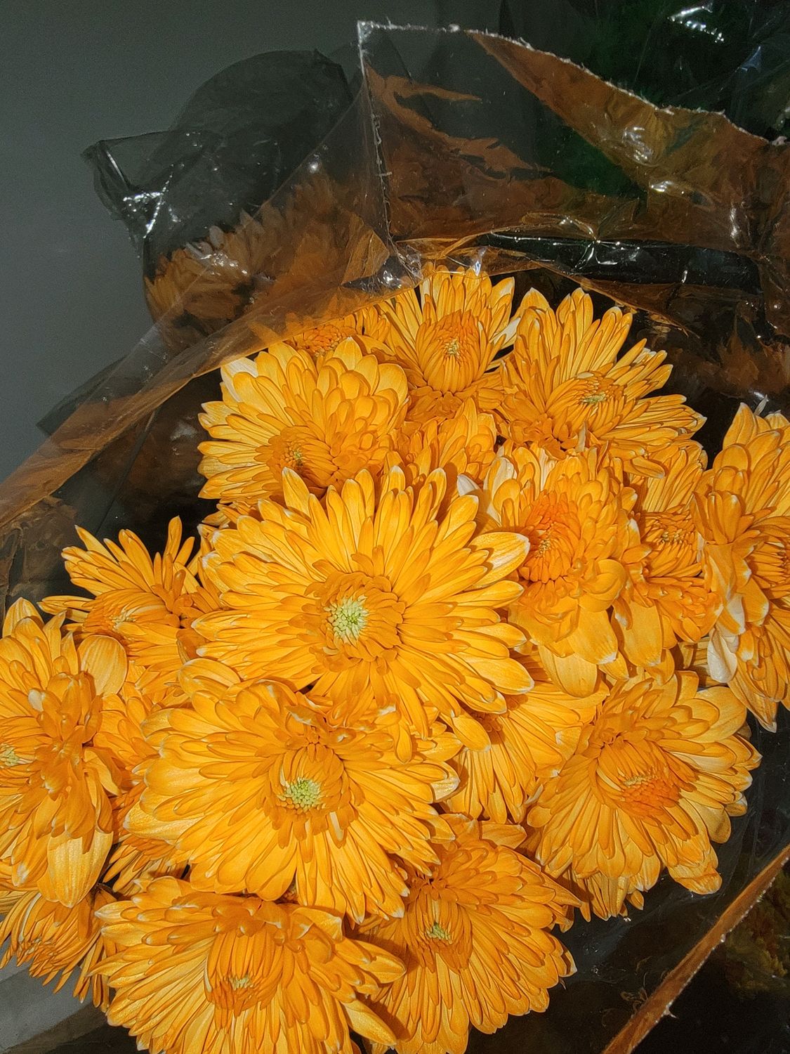 Orange dyed Chrysanthemums - per stem/10 per bunch 
