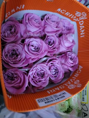 Lilac Roses