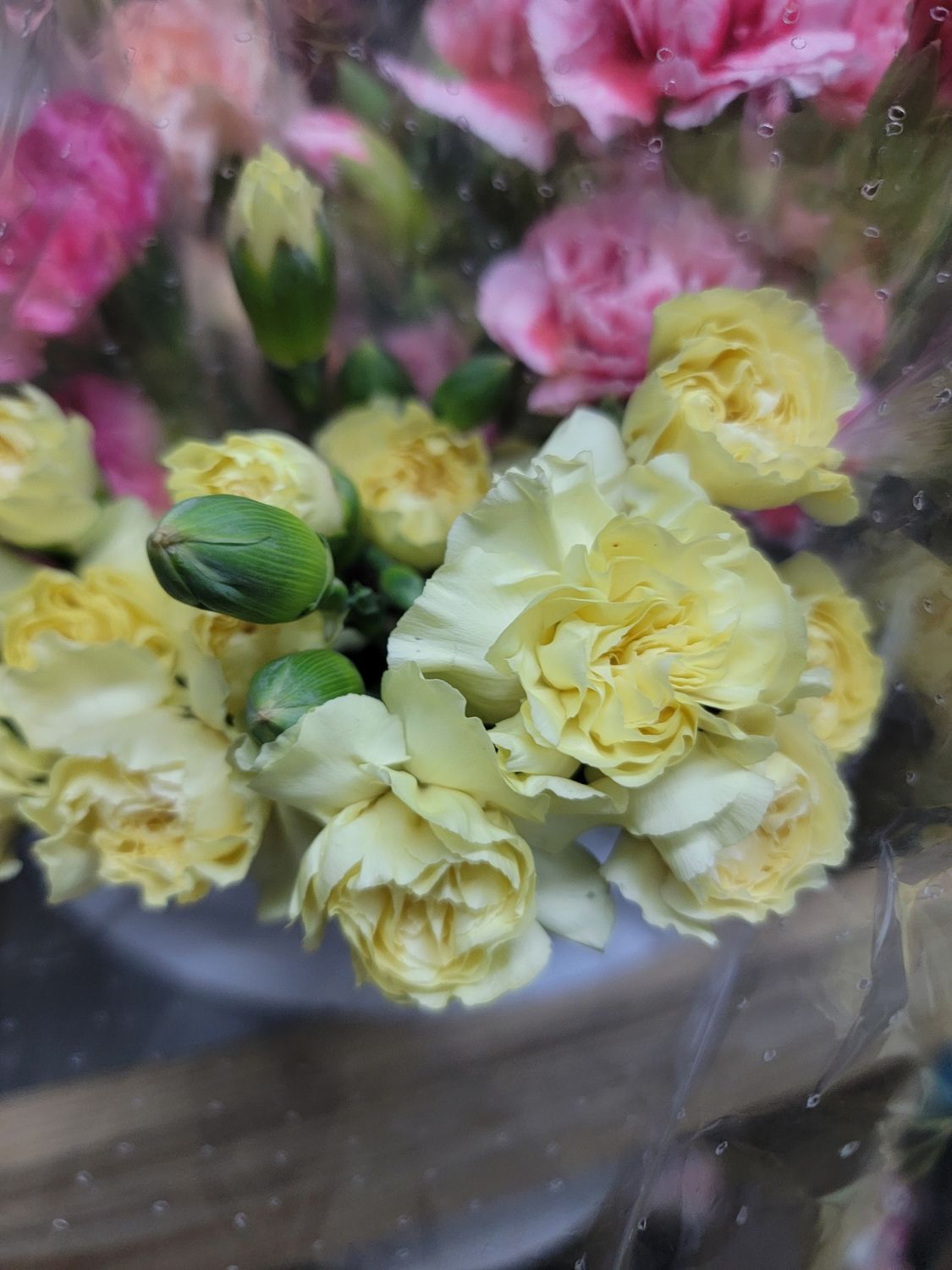 Mini Carnations - yellow per stem 