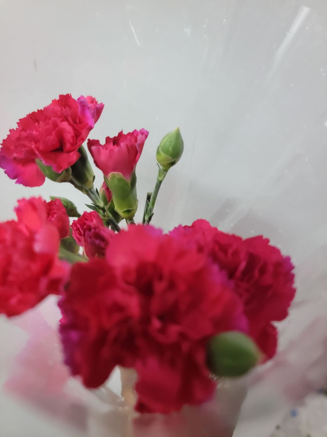 Mini Carnations - red per stem 