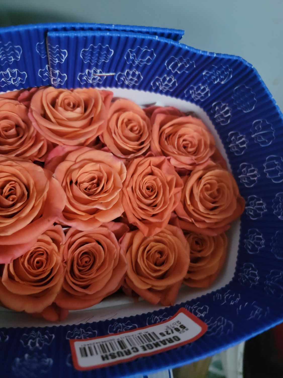 Orange roses 