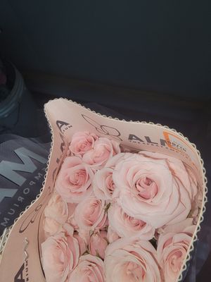 Spray/ Mini Roses  - pink per stem