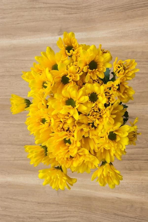 Daisy - Yellow per stem