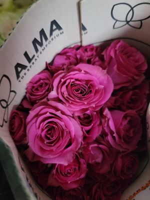 Spray/Mini Roses - bright pink per stem