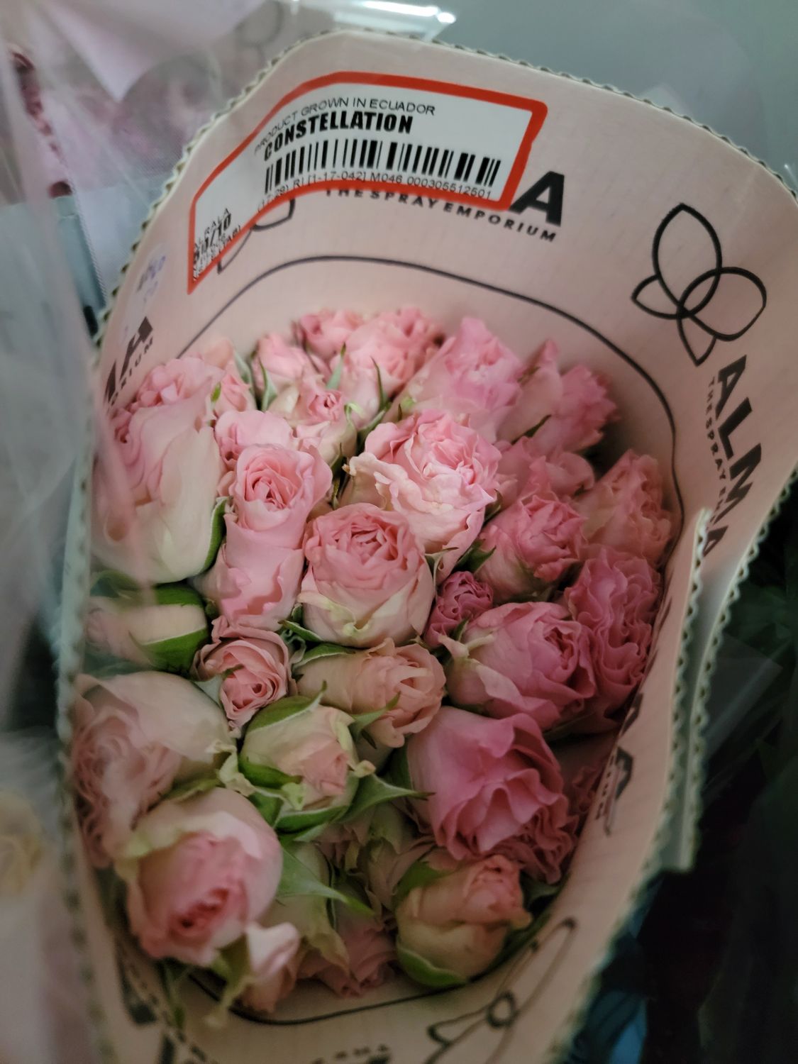 Spray /Mini Roses pink per stem