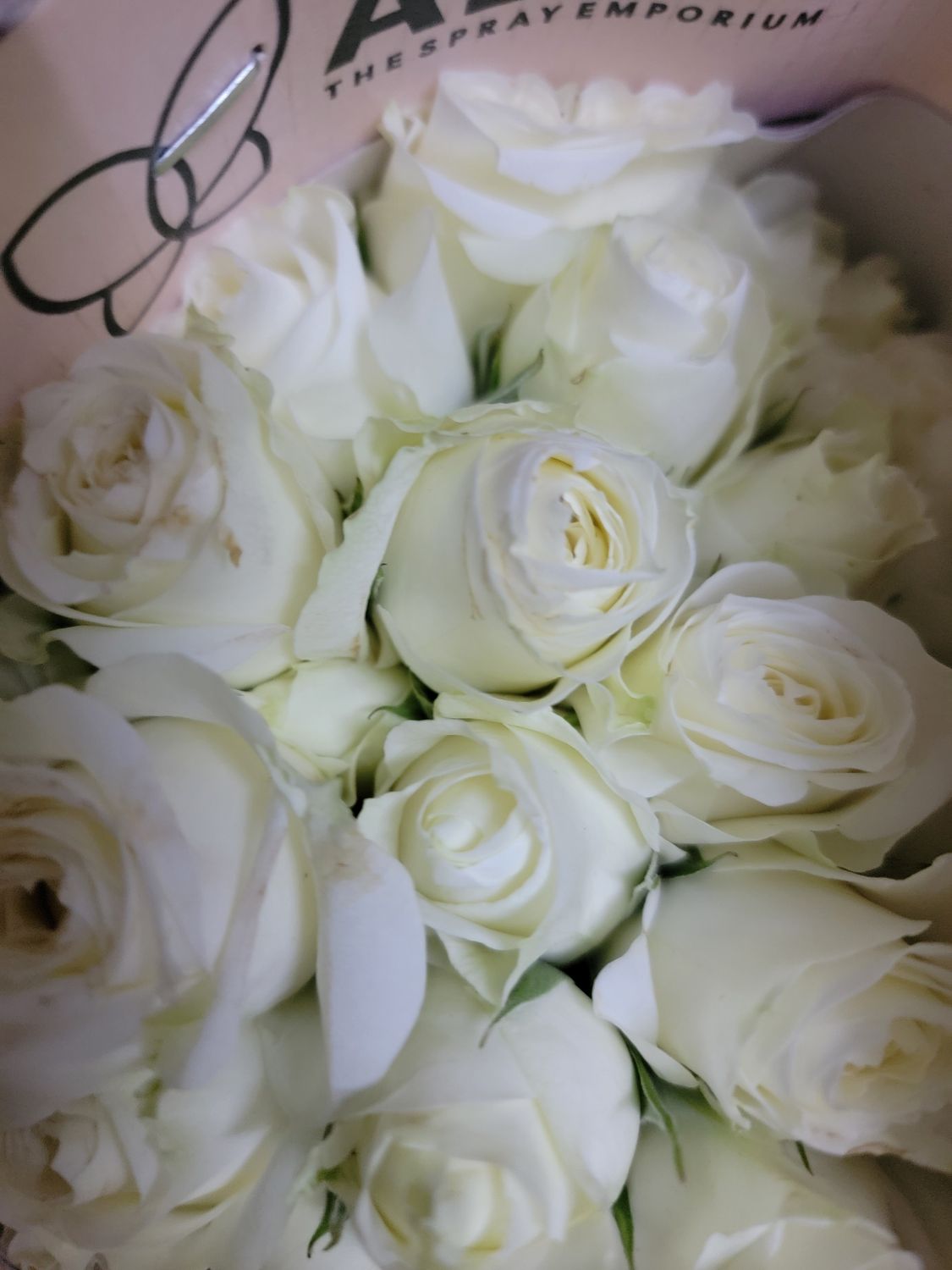 Spray/Mini Roses  - white per stem