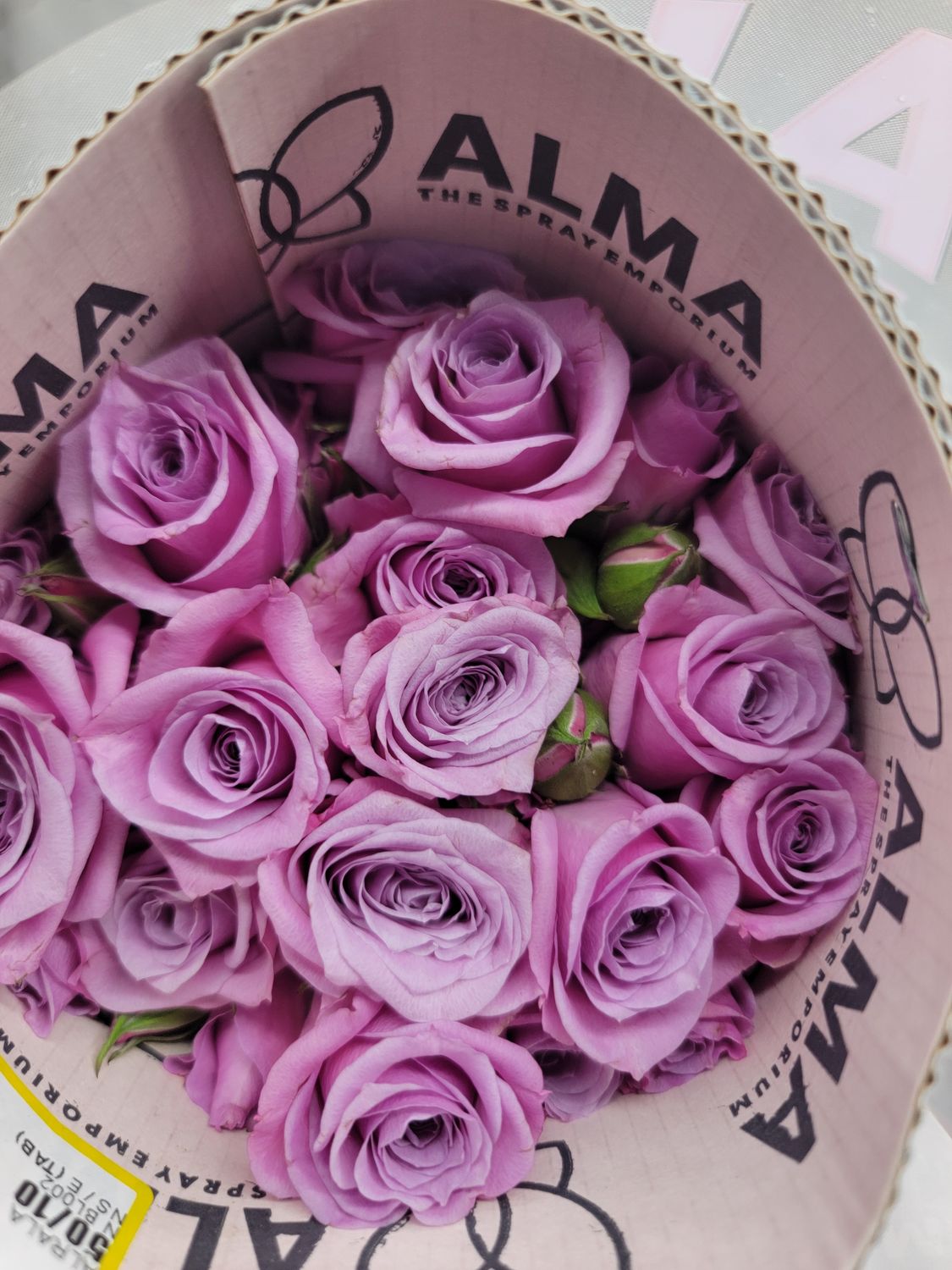 Spray/Mini Roses - lilac per stem