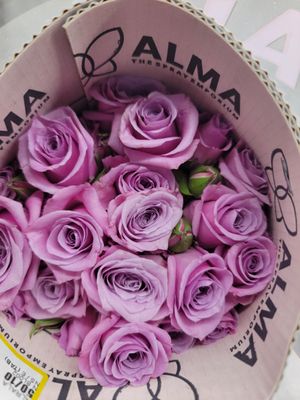Spray/Mini Roses - lilac per stem