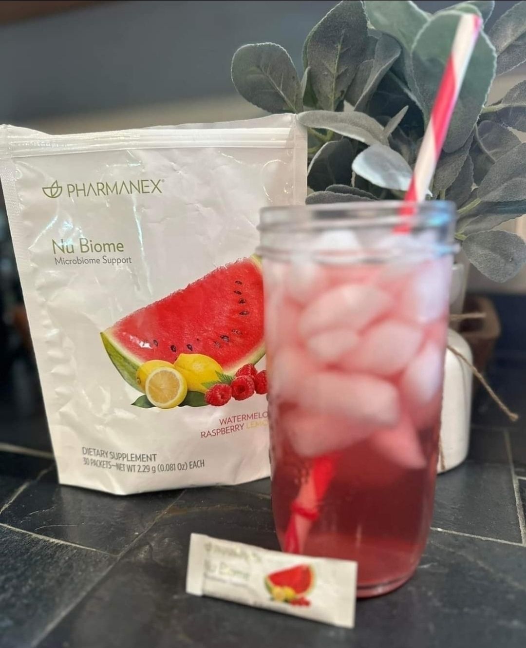 Nubiome gut drink — one time order