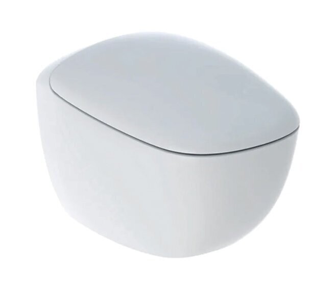 GEBERIT - CITTERIO VASO SOSPESO RIMFREE A CACCIATA CON FISSAGGIO NASCOSTO E SEDILE WC SOFT-CLOSE BIANCO 500.805.00.1