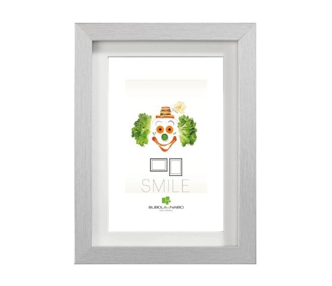BUBOLA & NAIBO - CORNICE LEIDA SERIE SMILE IN PPC COLORE ARGENTO 40 X 50 CM. 5860C AA 17