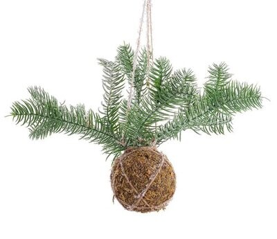 BIZZOTTO - DECORAZIONE SFERA KOKEDAMA DN. 58 CM. CON PINO 0937159