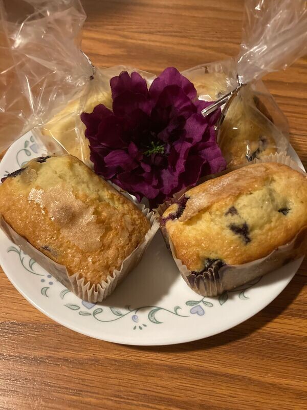 Blueberry Muffins (4)