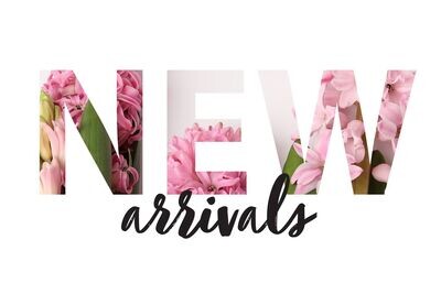 SS24 New Arrivals