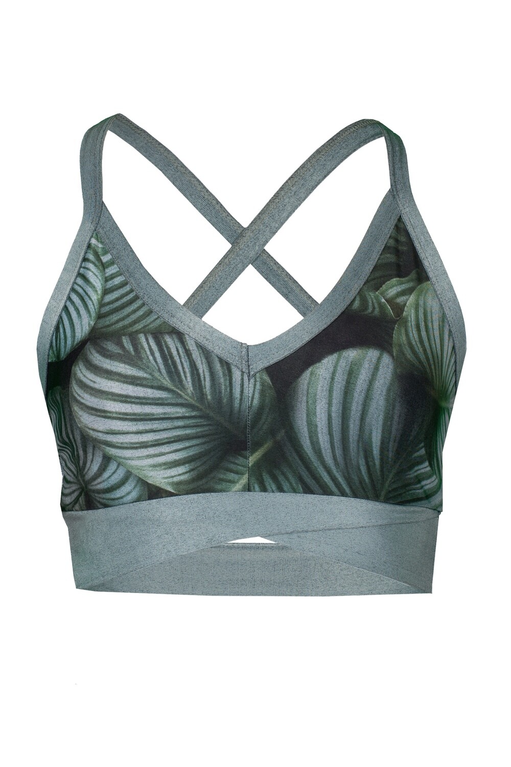 Sports Bra Calathea