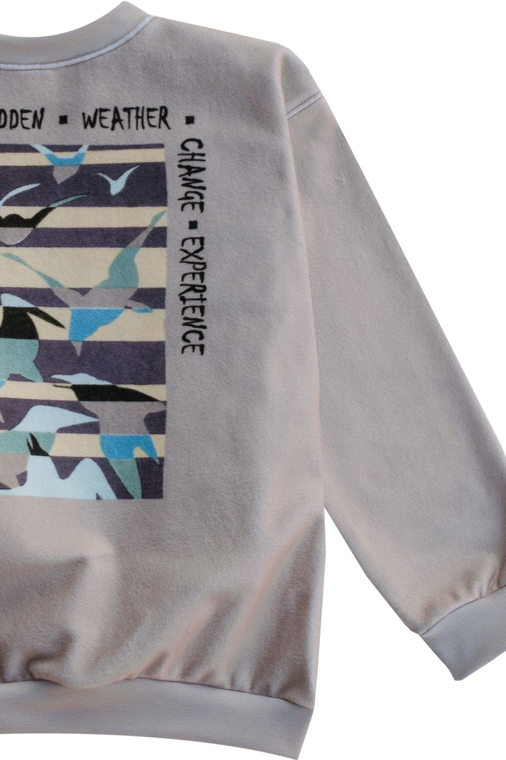 RobeCode beiger, kastiger Kinder-Fleece-Sweater und coolem  Rückenprint mit Vogel-Print