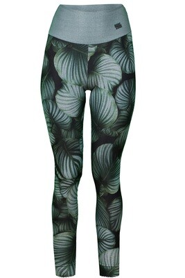 RobeCode High-Waist Leggings mit Blätterprint in Grün- und Salbeitönen – Sportlich & Stylisch Produktfoto Leggings Calathea mit grünem Blätterprint