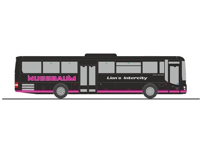 1:87 Rietze - MAN Lion s Intercity, Nussbaum, Biburg 1:87 Rietze - MAN Lion s Intercity, Nussbaum, Biburg