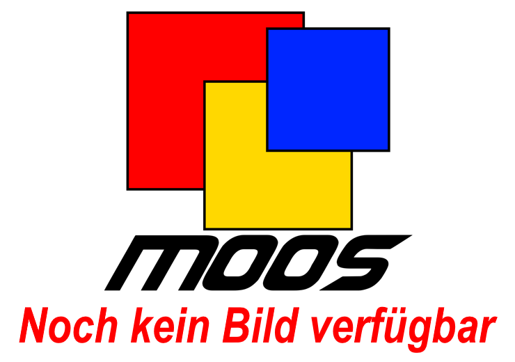 1:12 GP Replicas - Ferrari F2000 (2000) - nr.4 Rubens Barrichello - Winner German GP, Hockenheim 2000 1:12 GP Replicas - Ferrari F2000 (2000) - nr.4 Rubens Barrichello - Winner German GP, Hockenheim 2000
