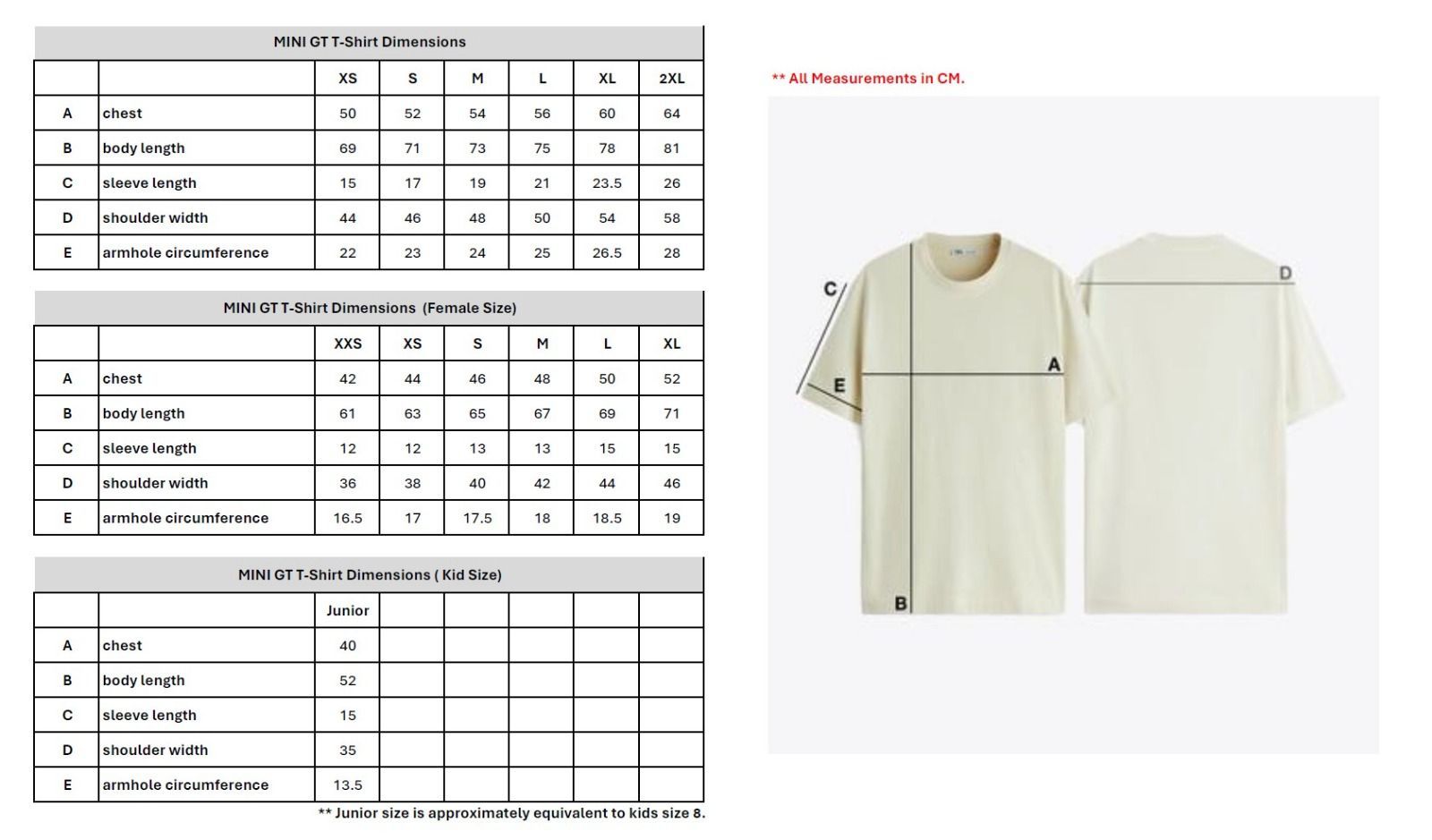 Mini GT Merchandise - MINI GT T-shirt *RE-Amemiya* 2026, black *Men/Unisex size: XL*