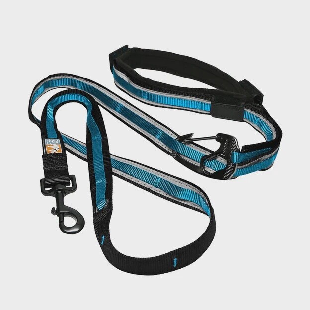 Kurgo Reflect And Protect Quantum 6 in 1 Leash Dog, Color: Coastal Blue