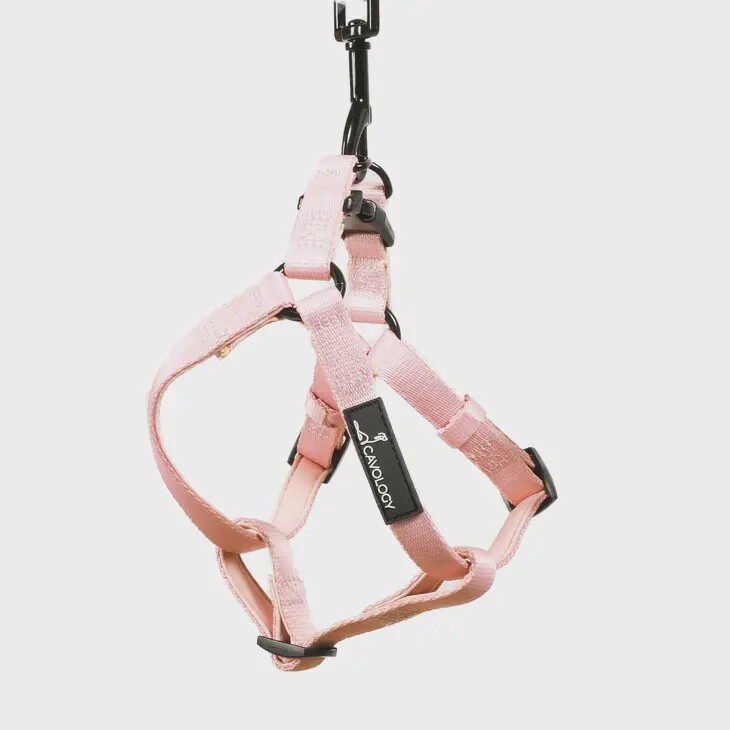 Cavology /  Strap Step in Harness - Blush, Size: XS-S