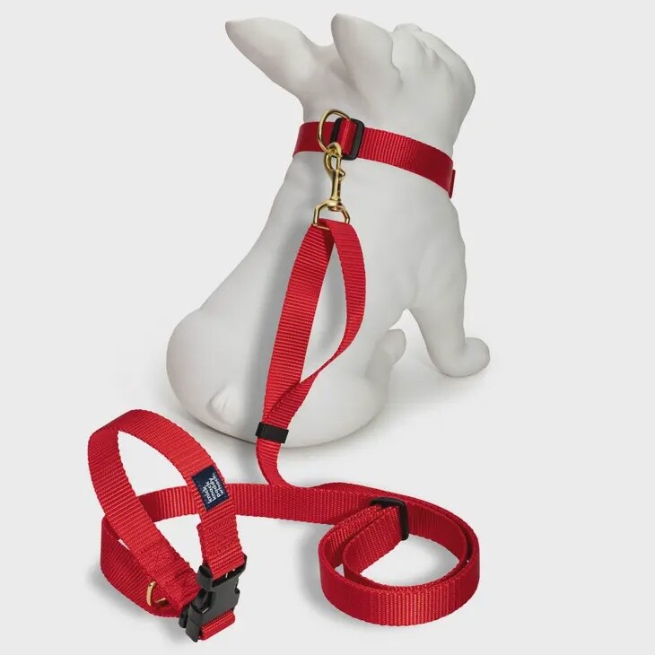 Red Leash (4 in 1 -Running, Traffic Lead, Tether, Walking)