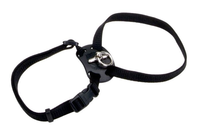 Size Right Snag Proof Adj Nylon Harness Black Cat, Size: 3/8in x 12-18in