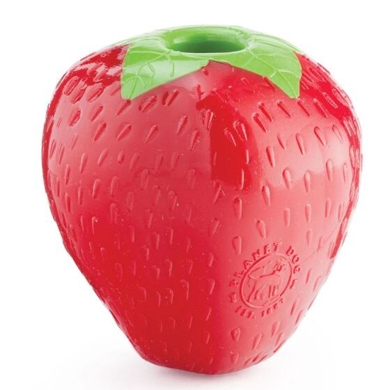 Planet Dog Orbee Tuff Strawberry With Treat Spot Dog