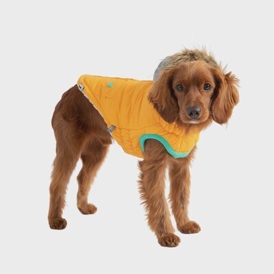 GF Pet Winter Sailor Parka - Yellow