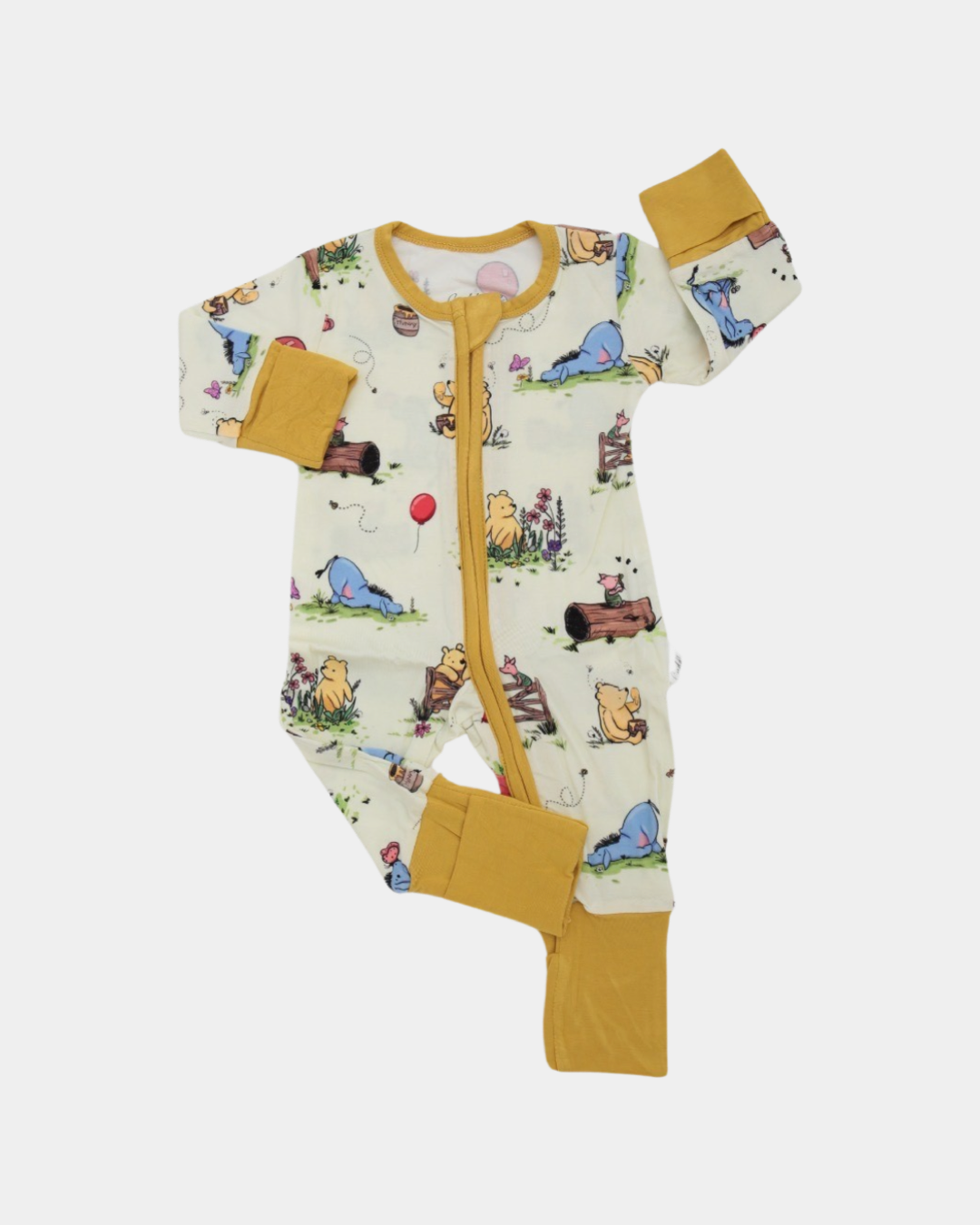 Cuddly Suit in Pooh & Friends