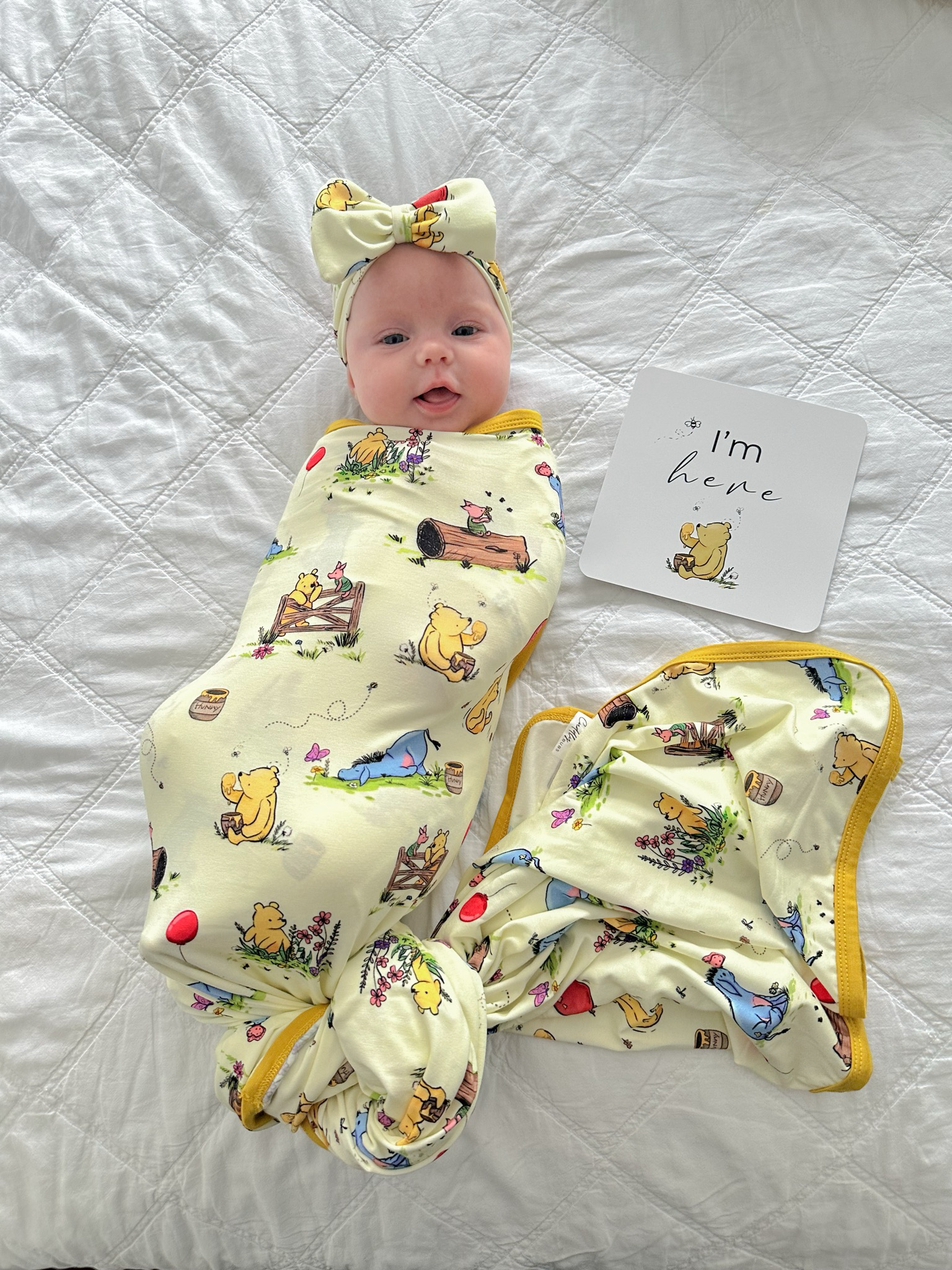 Birth Announcement Card in Pooh & Friends