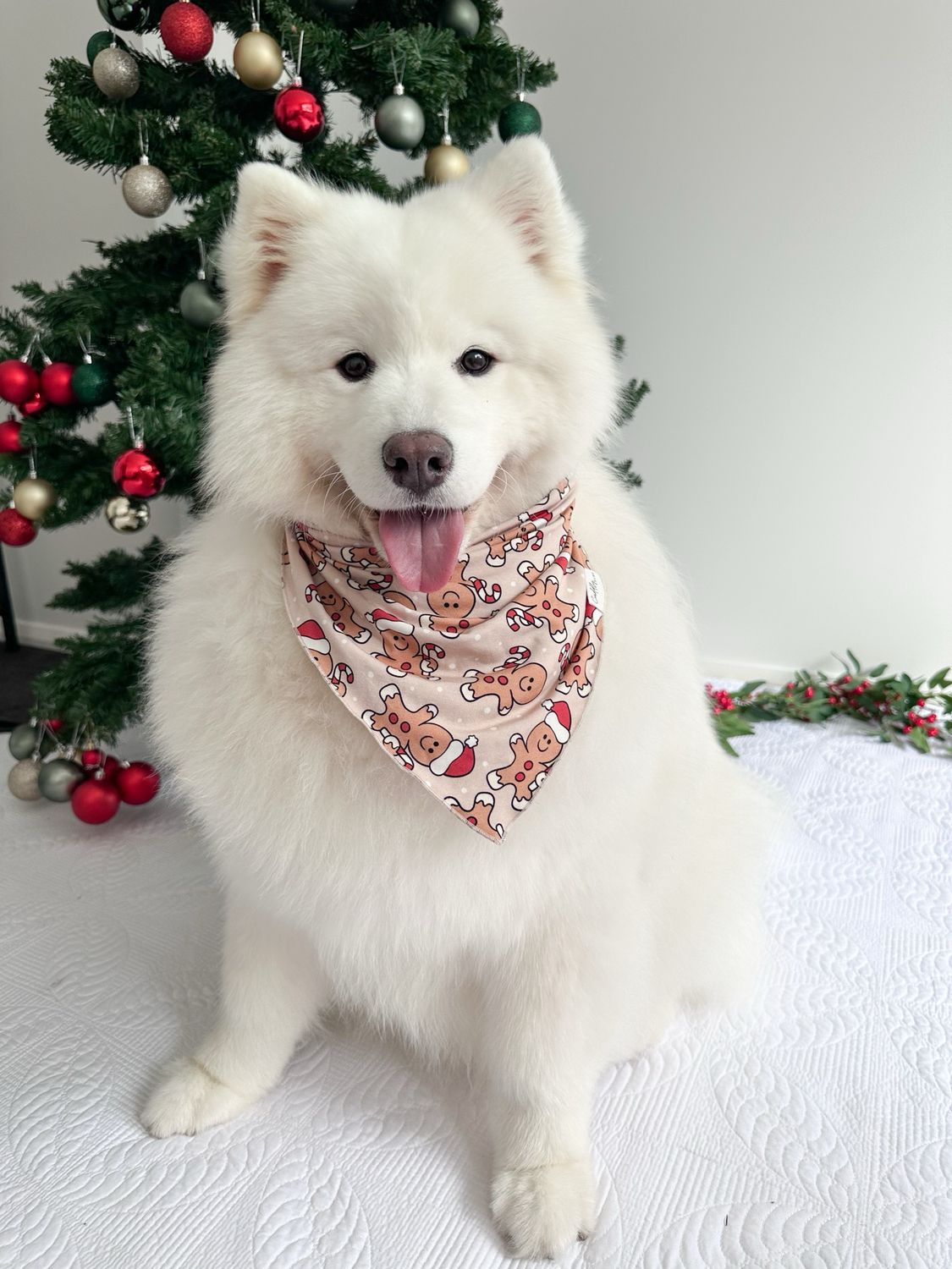 Pet Bandana in Gingerbread