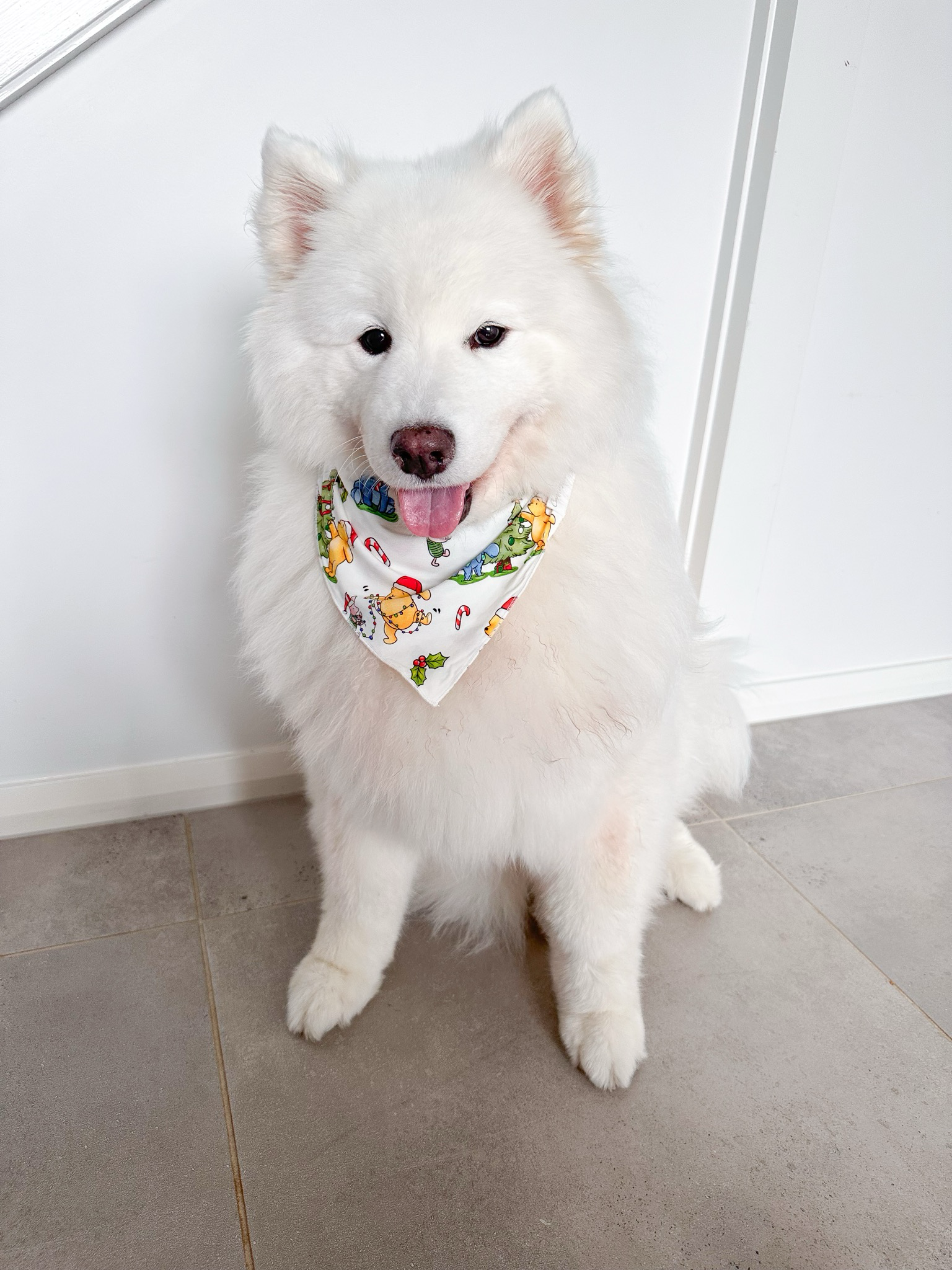 Pet Bandana in Pooh & Friends CHRISTMAS