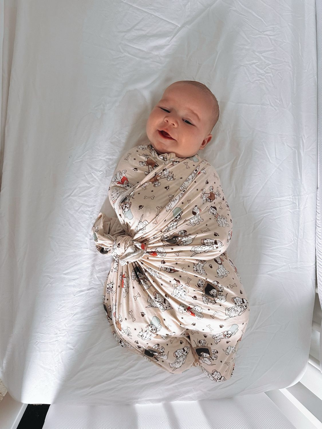 Swaddle in Playful Pups