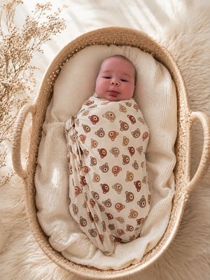 Swaddle in Bears
