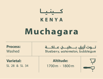 كينيا- موشاغارا