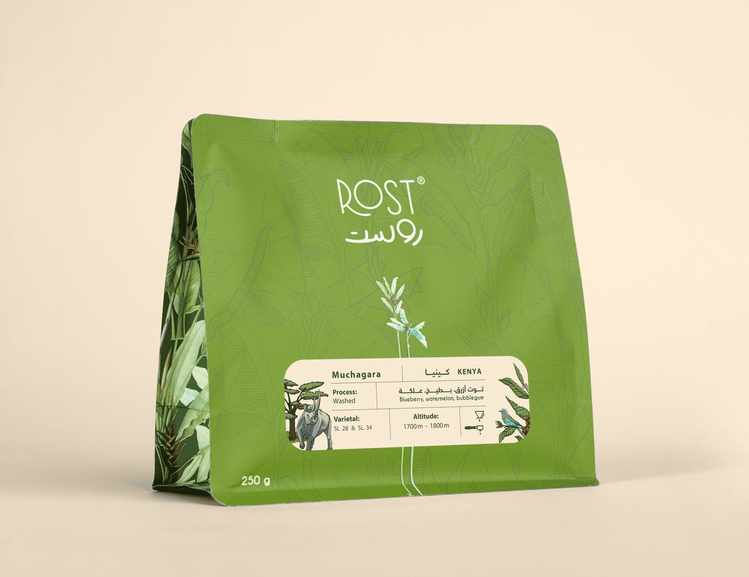 كينيا- موشاغارا