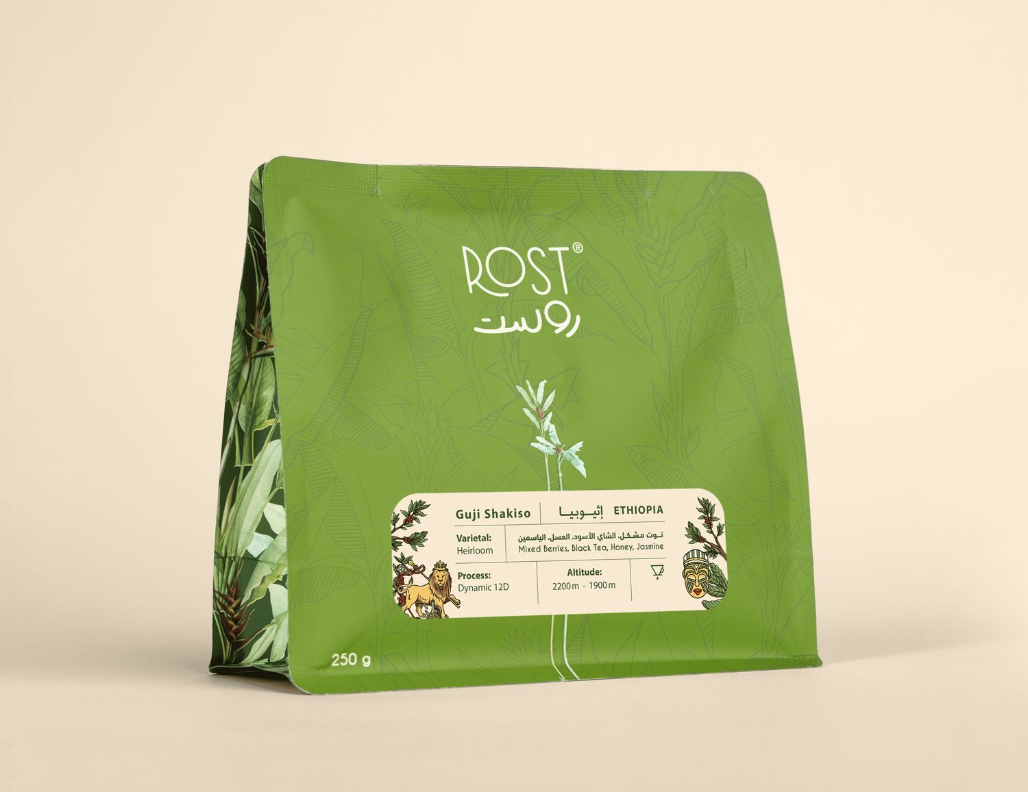 اثيوبيا - قوجي شاكيسو